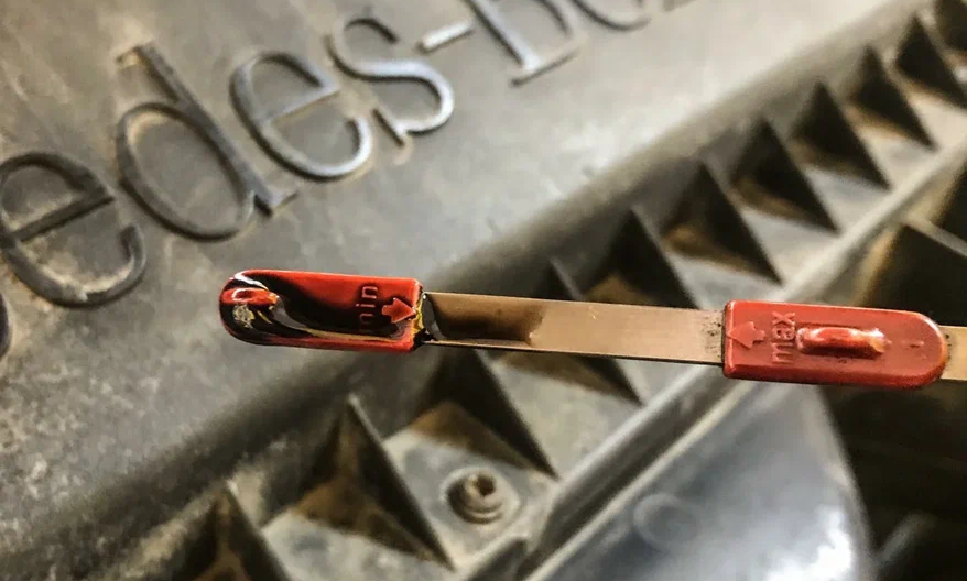 unnamed 1.png unnamed 1.png